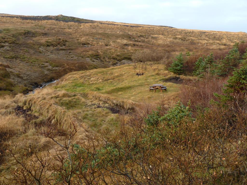 Tangahus Guesthouse Bortheyri Eksteriør bilde